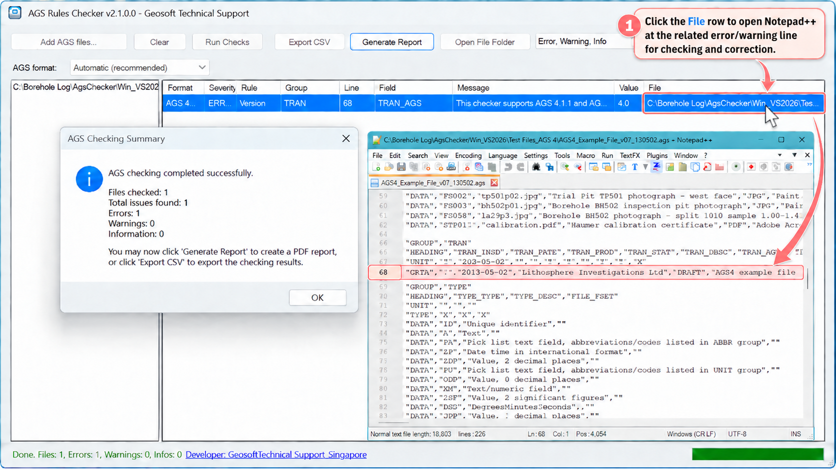 AGS Rules Checker checking summary and issue location in a Windows desktop screenshot